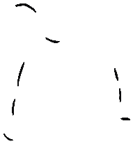 Image of the occurrence